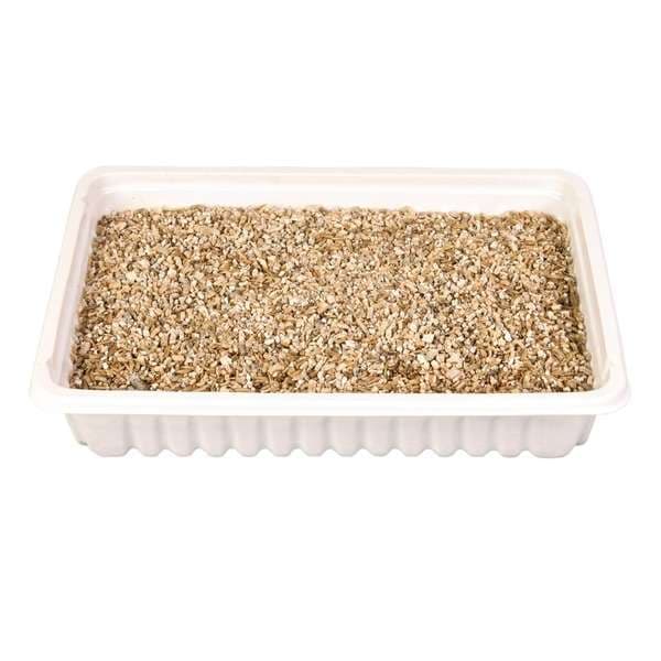 Trixie Katzengras-Schale, ca. 100 g bild 2