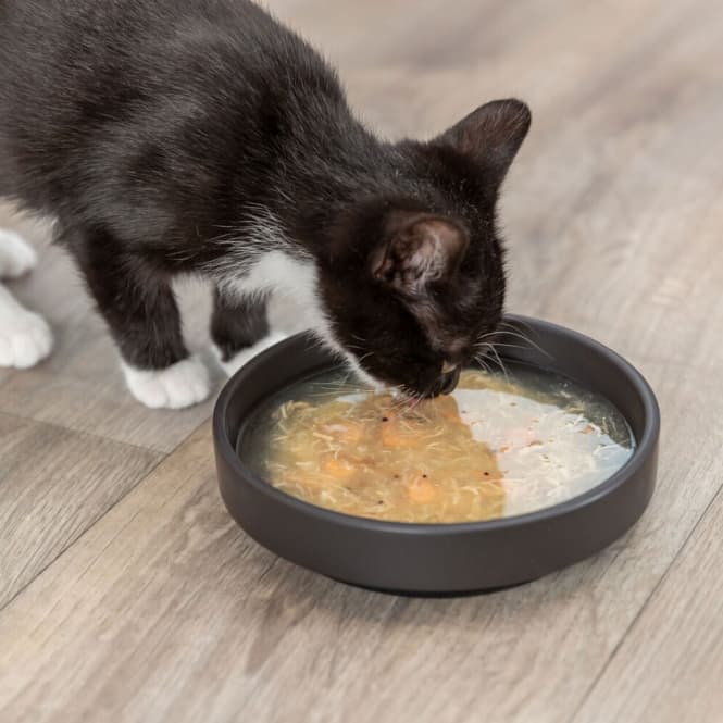 Trixie Kittis Shrimp Soup - 4 × 80 g bild 4
