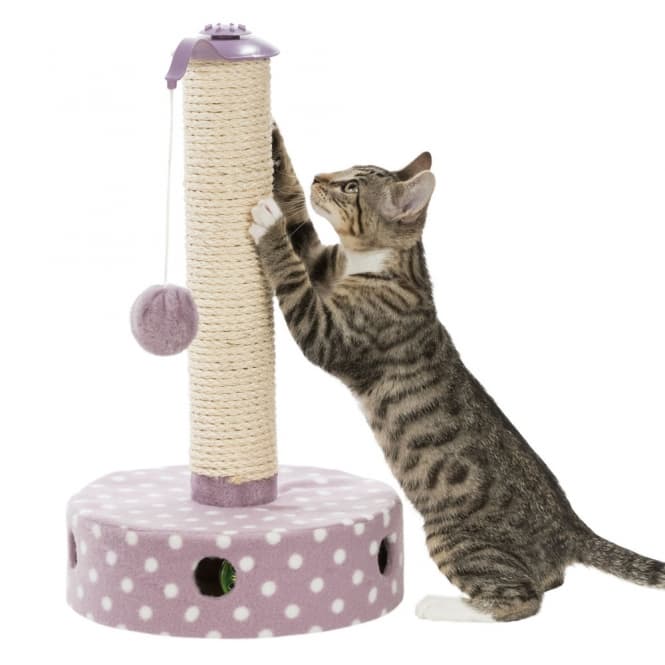 Trixie Junior skrapstolpe med Spieltrommel bild 5