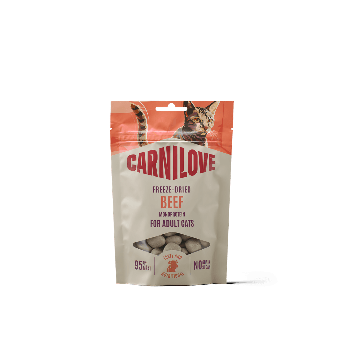 Carnilove Frystorkad Snack Lax 40g